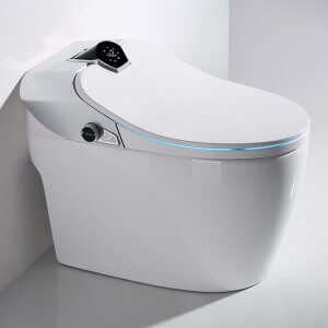 smart toilet