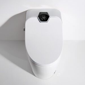 smart toilet