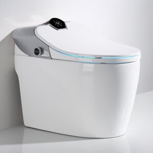 smart toilet