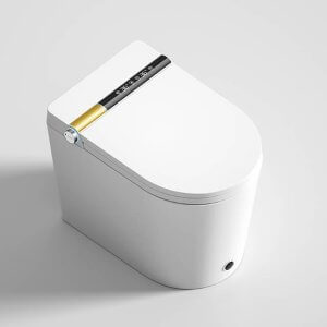 smart toilet
