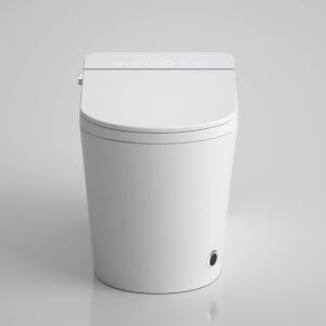 smart toilet