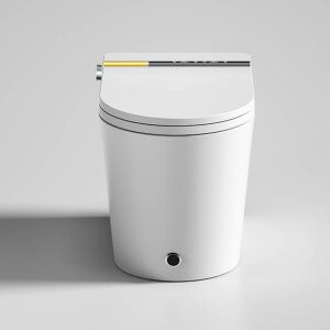 smart toilet