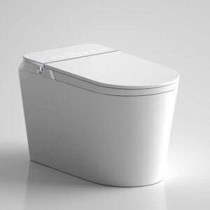 smart toilet