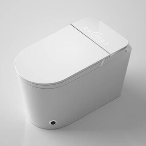smart toilet
