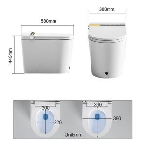 smart toilet